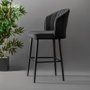 Hanah Home Rubi - Juego de 2 taburetes de bar Negro